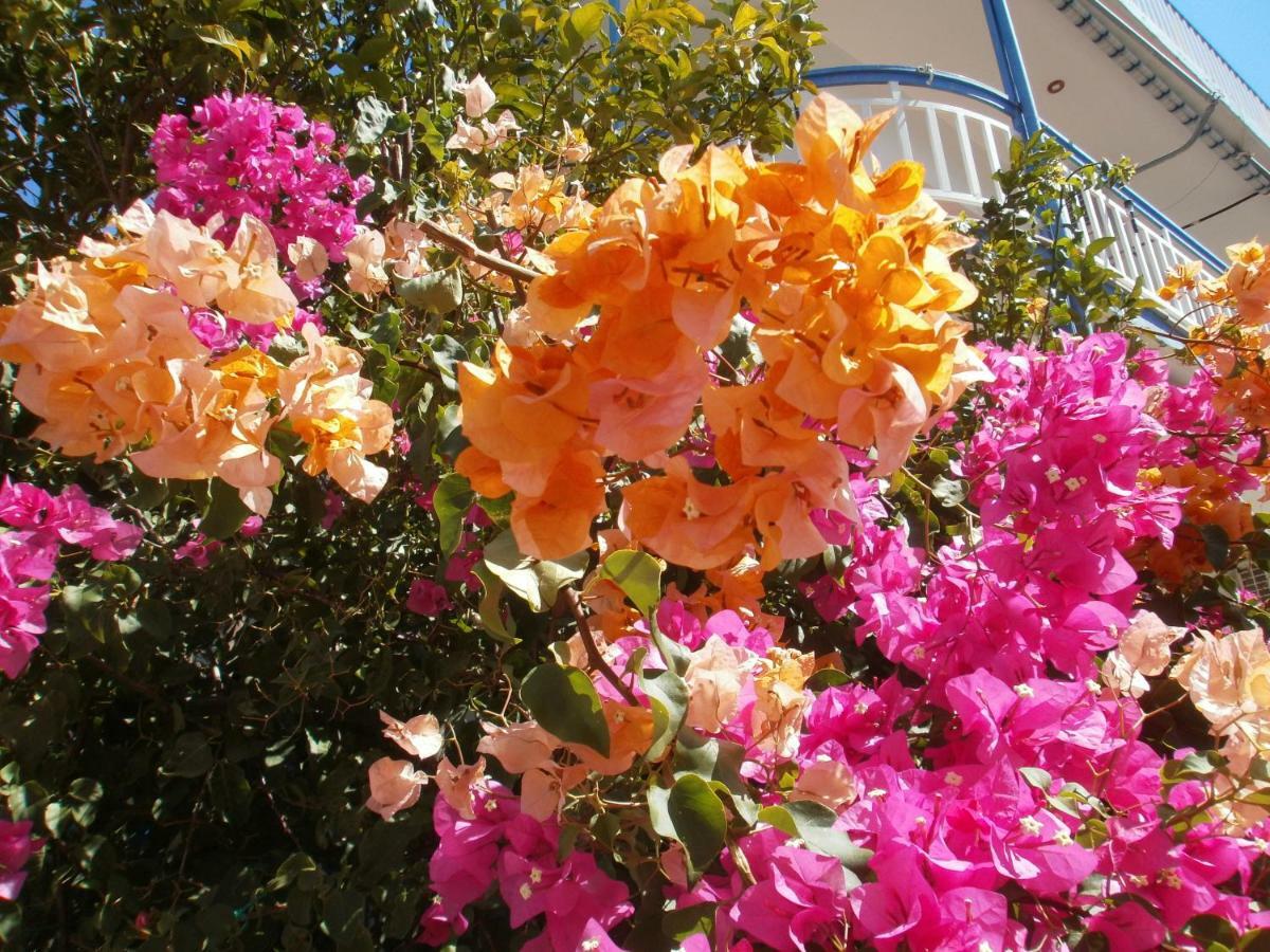 Seaview - Selfcatering Apartment - Helen No 2 Xiropigado Exterior foto